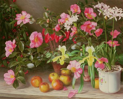 Blomster i november af Raymond Booth