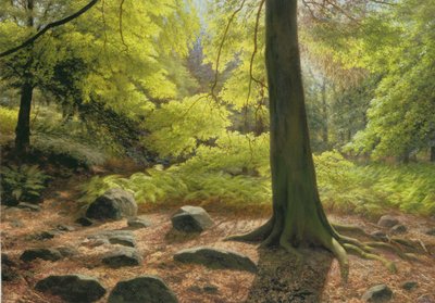 Forårssolskin i Adel Woods af Raymond Booth