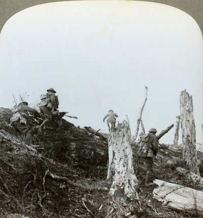 Overfald i Trones Wood, Somme, Frankrig, Første Verdenskrig, 1916 af Realistic Travels Publishers