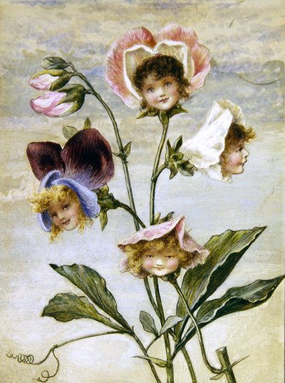 Geranium & Sweet Pea - Blomsterbørn - et par (akvarel & kropsfarve på papir) af Rebecca Coleman