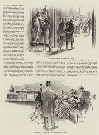 Kvindelige besøgende i Underhuset (litografi) af Reginald Thomas Cleaver
