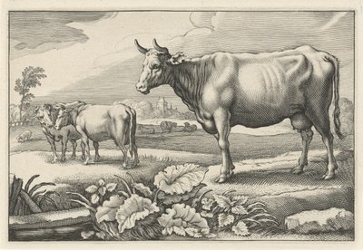Græsgang med køer Diversa Animalia Quadrupedia (serietitel) af Reinier van Persijn