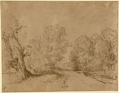 En skovklædt vej af Rembrandt Harmensz. van Rijn