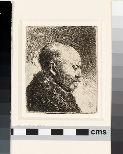 Skaldet mand i profil højre: Rembrandts far? af Rembrandt van Rijn