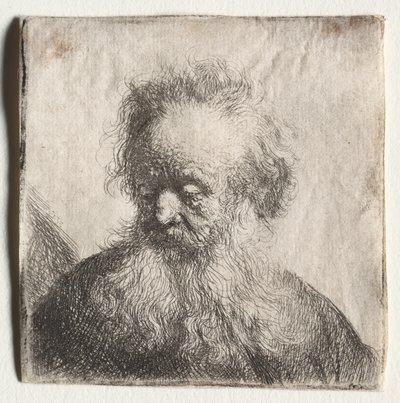 Gammel mand med flagrende skæg: Buste af Rembrandt Harmensz. van Rijn