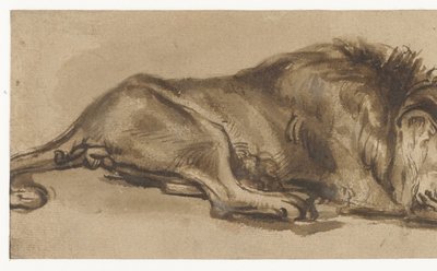 Studie af en løve i søvn af Rembrandt van Rijn (copy after)