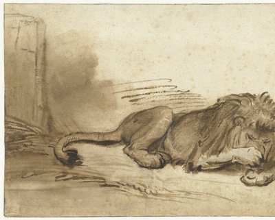 Tilbagelænet løve med forpoten over næsepartiet af Rembrandt van Rijn (school of)
