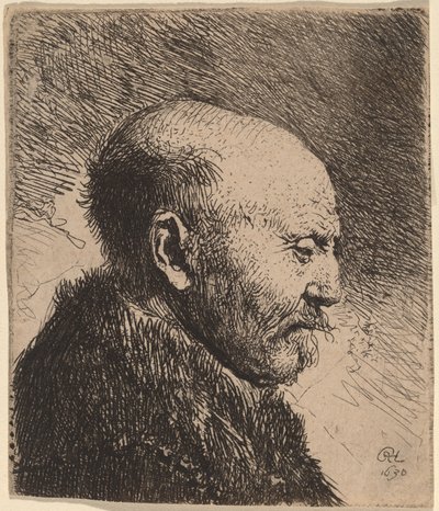 En skaldet mand i profil (kunstnerens far?) af Rembrandt van Rijn