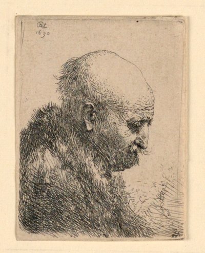 Skaldet-hovedet mand i profil højre: Lille buste; Kunstnerens far? af Rembrandt van Rijn