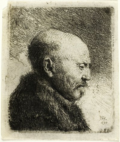 Skaldet mand i profil til højre: Kunstnerens far () af Rembrandt van Rijn