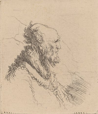 Skaldet gammel mand med kort skæg i profil, ca. 1635. af Rembrandt van Rijn