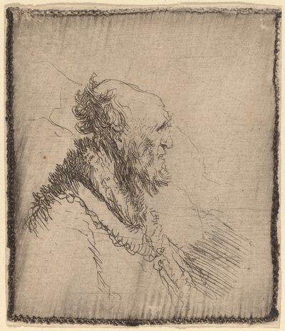 Skaldet gammel mand med kort skæg i profil, ca. 1635. af Rembrandt van Rijn