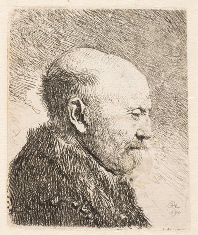 Skaldet mand i profil (Rembrandts far?) af Rembrandt van Rijn