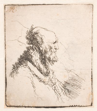 Skaldet gammel mand med kort skæg, i profil til højre af Rembrandt van Rijn