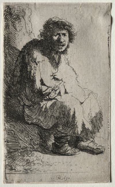 Tigger sidder på en bank af Rembrandt van Rijn