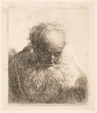 Buste af en gammel mand med bølgende skæg: hovedet bøjet fremad: venstre skulder uden skygge af Rembrandt van Rijn