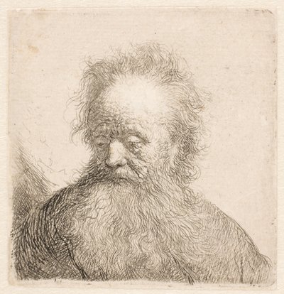 Buste af en ældre mand med et langt skæg: hovedet næsten oprejst: blikket vendt nedad: kigger let mod venstre af Rembrandt van Rijn