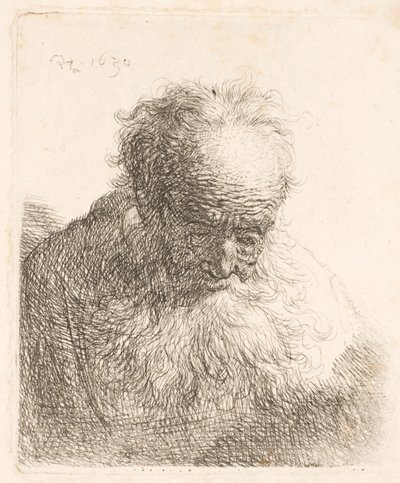 Buste af en gammel mand med et langt skæg: hovedet bøjet fremad: venstre skulder er ikke skyggefuld af Rembrandt van Rijn