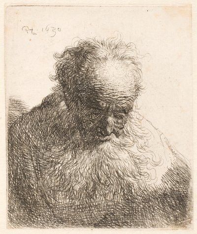 Buste af en gammel mand med et langt skæg: hovedet bøjet fremad: venstre skulder er ikke skyggefuld af Rembrandt van Rijn