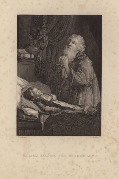 Elias opdrager enkens søn af Rembrandt van Rijn