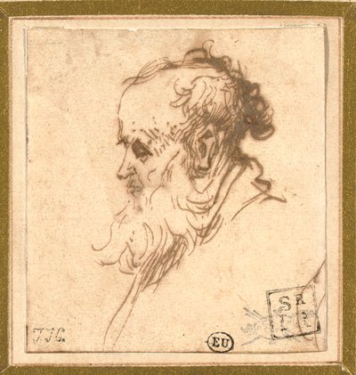 Hovedet af en skægget mand i profil til venstre af Rembrandt van Rijn