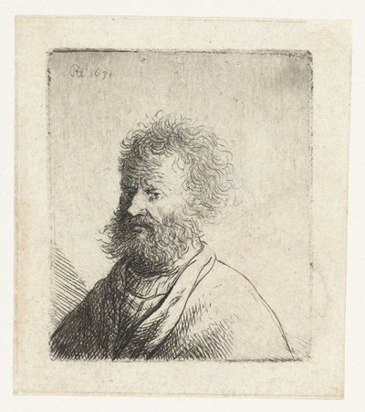 Mand med firkantet skæg og krøllet hår: buste af Rembrandt van Rijn
