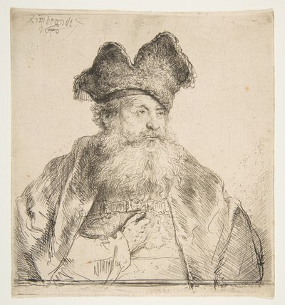 Gammel mand med delt pelshue. af Rembrandt van Rijn