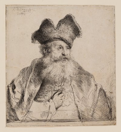 Gammel mand med delt pelshue af Rembrandt van Rijn