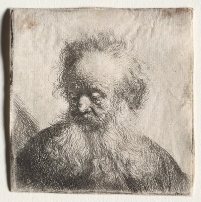 Gammel mand med flydende skæg: Buste, 1631. af Rembrandt van Rijn