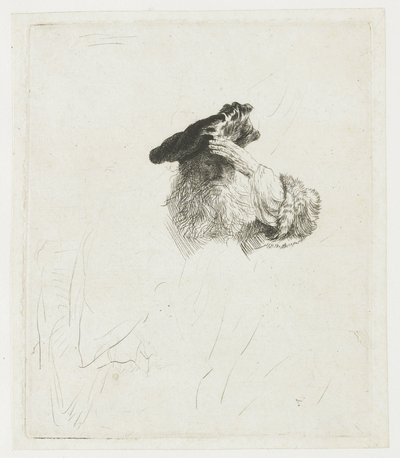 En gammel mand, der skærmer for solen med hånden af Rembrandt van Rijn