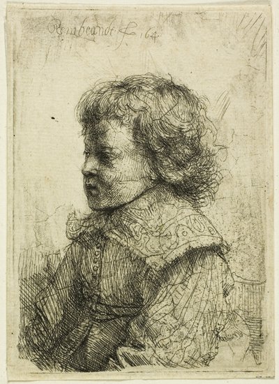 Portræt af en dreng af Rembrandt van Rijn