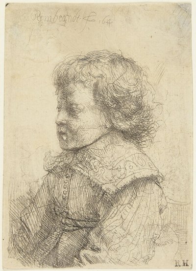 Portræt af en dreng af Rembrandt van Rijn