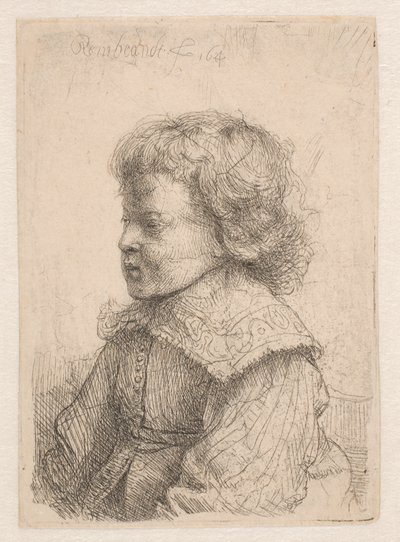 Portræt af en dreng, set i profil af Rembrandt van Rijn