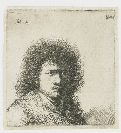 Selvportræt med busket hår: buste af Rembrandt van Rijn