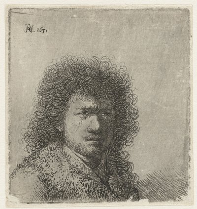 Selvportræt med busket hår: buste af Rembrandt van Rijn
