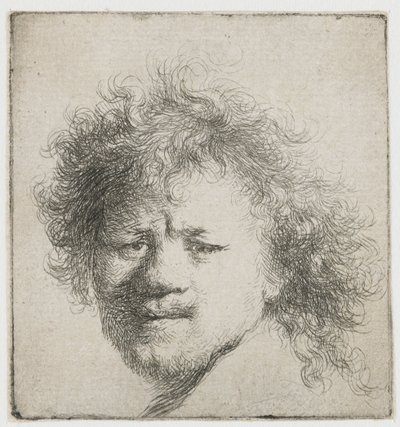Selvportræt med langt busket hår: kun hoved af Rembrandt van Rijn