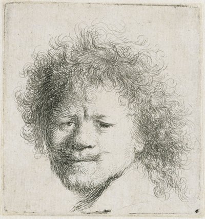 Selvportræt med langt, fyldigt hår: kun hovedet af Rembrandt van Rijn