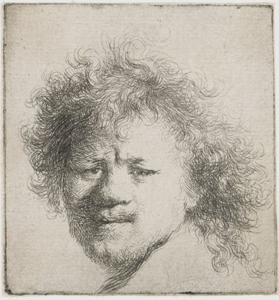 Selvportræt med langt busket hår: kun hoved, ca 1631. af Rembrandt van Rijn