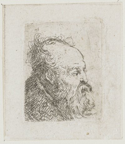 Ark med studier af mænds hoveder: gammel, skægget mand, næsten set i profil mod højre: munden halvt åben af Rembrandt van Rijn
