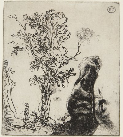 Ark med to studier: Et træ og den øverste del af et selvportræt med en fløjlshue af Rembrandt van Rijn