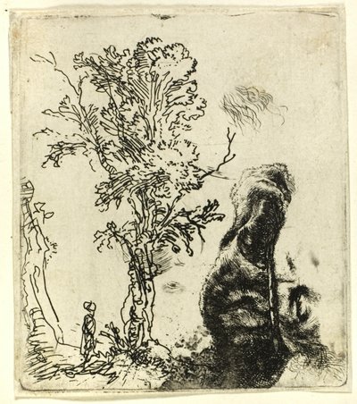Ark med to studier: Et træ og den øverste del af kunstnerens hoved iført fløjlskasket af Rembrandt van Rijn