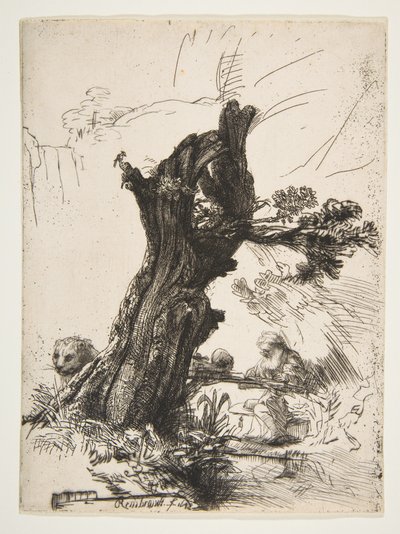 St. Hieronymus ved siden af en Pollard Willow, 1648. af Rembrandt van Rijn