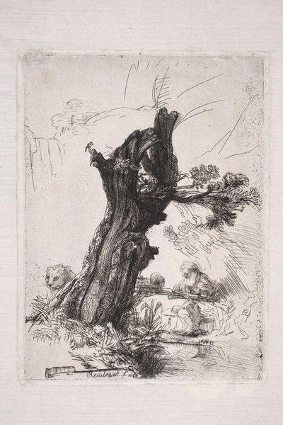 Den hellige Hieronymus, der skriver ved en piletræstamme af Rembrandt van Rijn