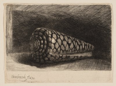 Skallen af Rembrandt van Rijn