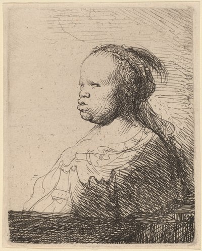 Den hvide neger af Rembrandt van Rijn
