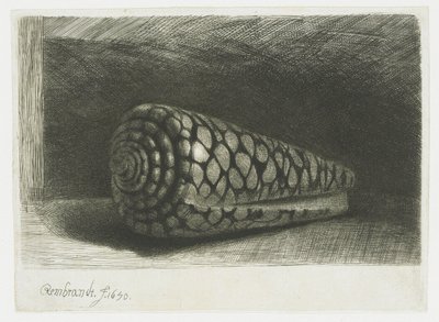Skallen af Rembrandt van Rijn