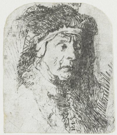 Kvinde i en pelsklippet kappe Buste af en gammel kvinde i pelskappe og tung hovedbeklædning af Rembrandt van Rijn