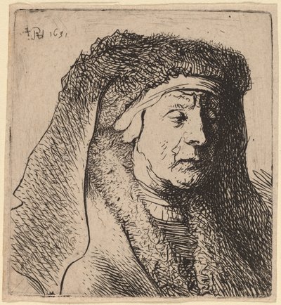 Buste af en gammel kvinde i en pelset kappe og kraftig hovedbeklædning af Rembrandt van Rijn and Studio of Rembrandt