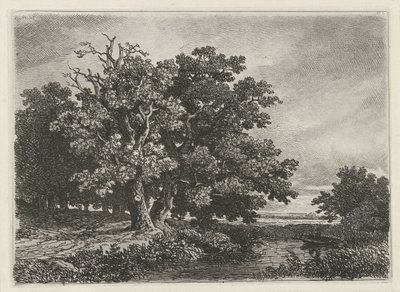 Træer ved en vandpyt med en båd af Remigius Adrianus Haanen
