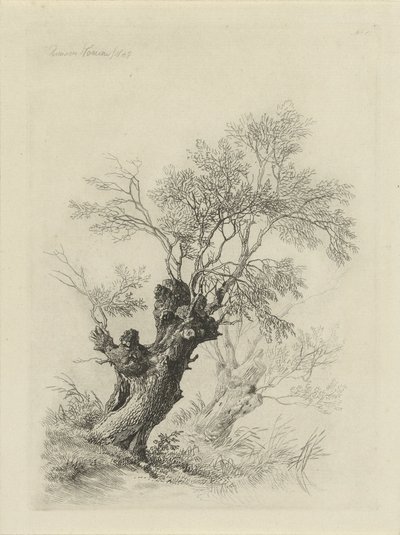 piletræ af Remigius Adrianus Haanen